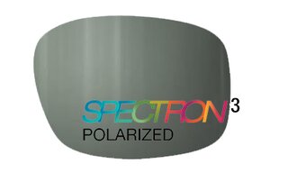 Verres de remplacement SPECTRON 3 Polarized G15