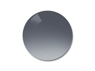 Verres de remplacement Polycarbonate polar light grey gradient grey T3