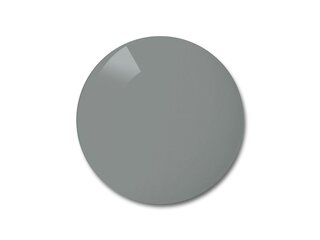 Verres de remplacement Polycarbonate Gris
