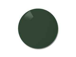 Verres de remplacement Polycarbonate Vert